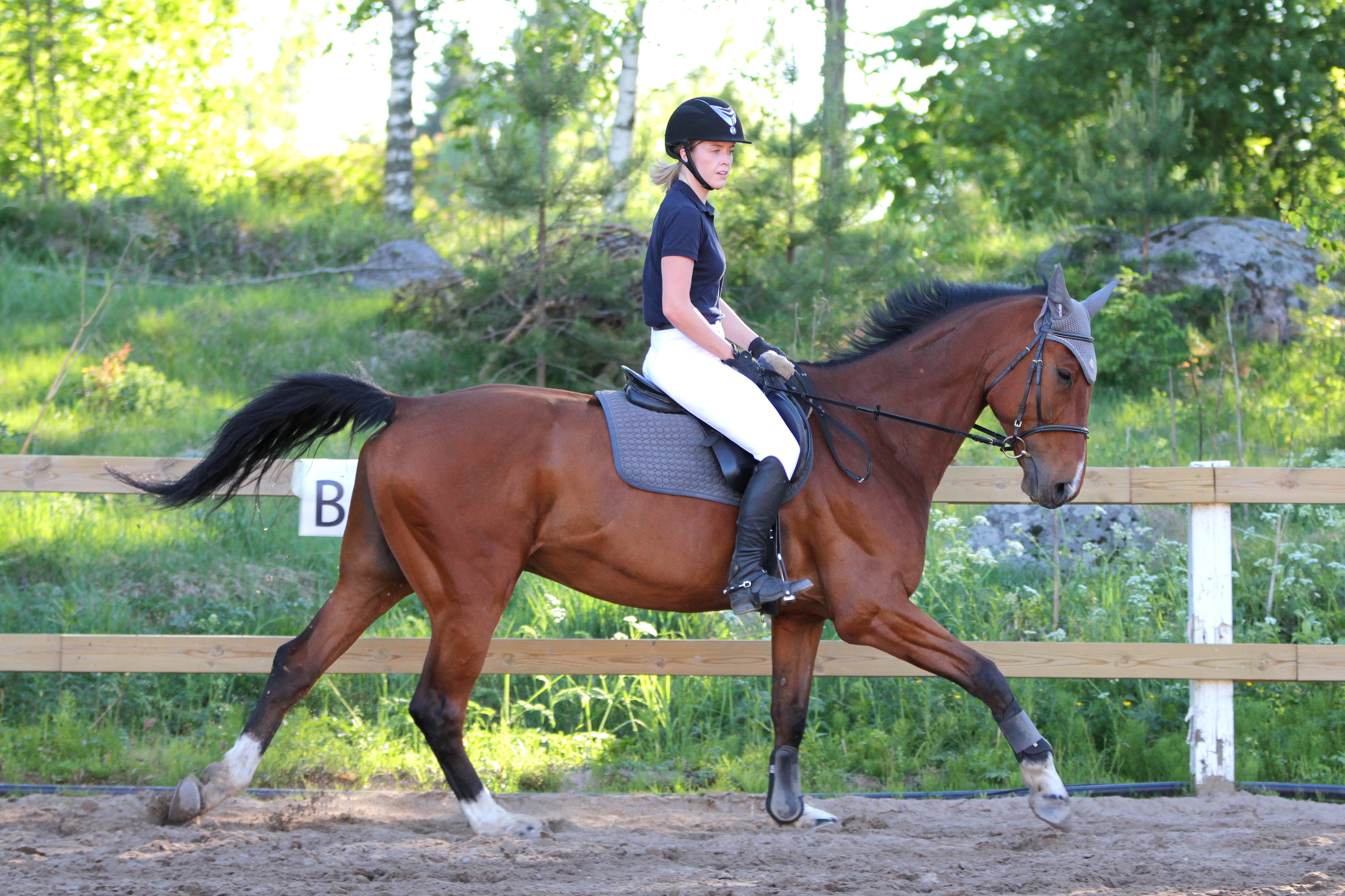 Horseback Riding image