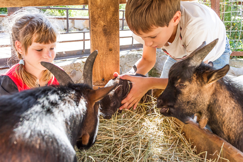 Agriculture image